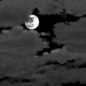 Tonight: A slight chance of showers between 8pm and 9pm.  Mostly cloudy, with a low around 57. West wind 5 to 7 mph becoming calm  after midnight.  Chance of precipitation is 20%.